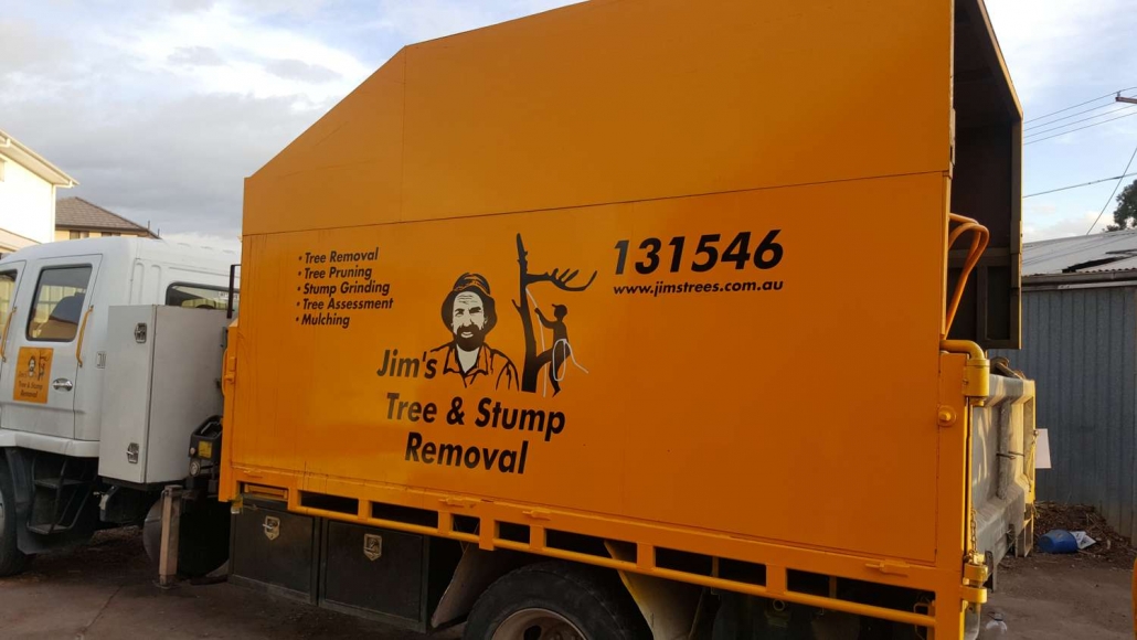 Jims-Tree-Truck