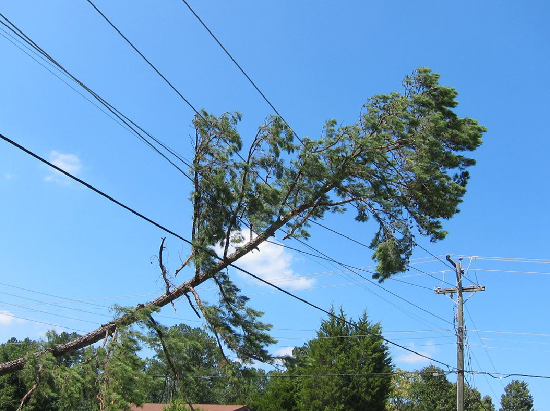 PowerlinesTreeDown