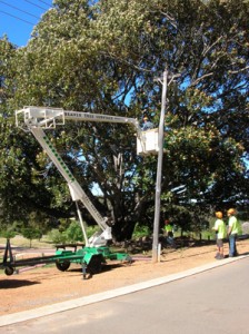 powerline-clean-up-224x300