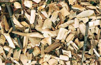Wood-chips-1 Gardens Mulch & Woodchips