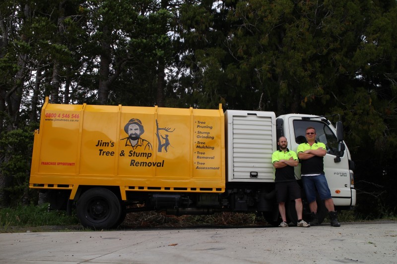 jims-tree-stump-removal-arborists-tree-removal-service-coatesville-rodney-area-d19012