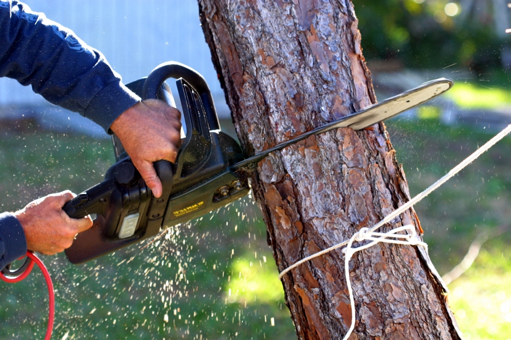 Tree-Removal-Melbourne