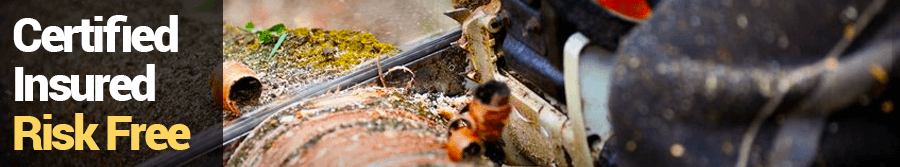 tree-removal-banner